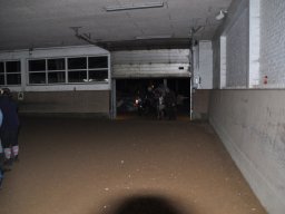 dsc_0099_web